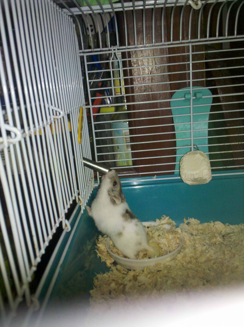 2013-02-01_18-49-53_844.jpg