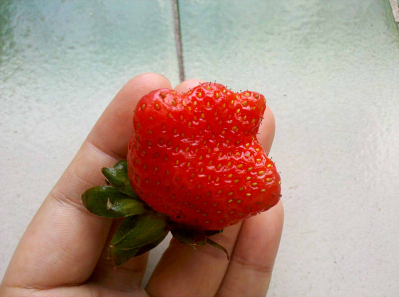 2013-02-06_17-32-14_920.jpg