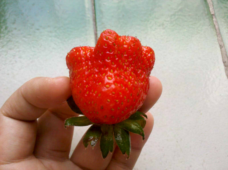 2013-02-06_17-32-02_768.jpg