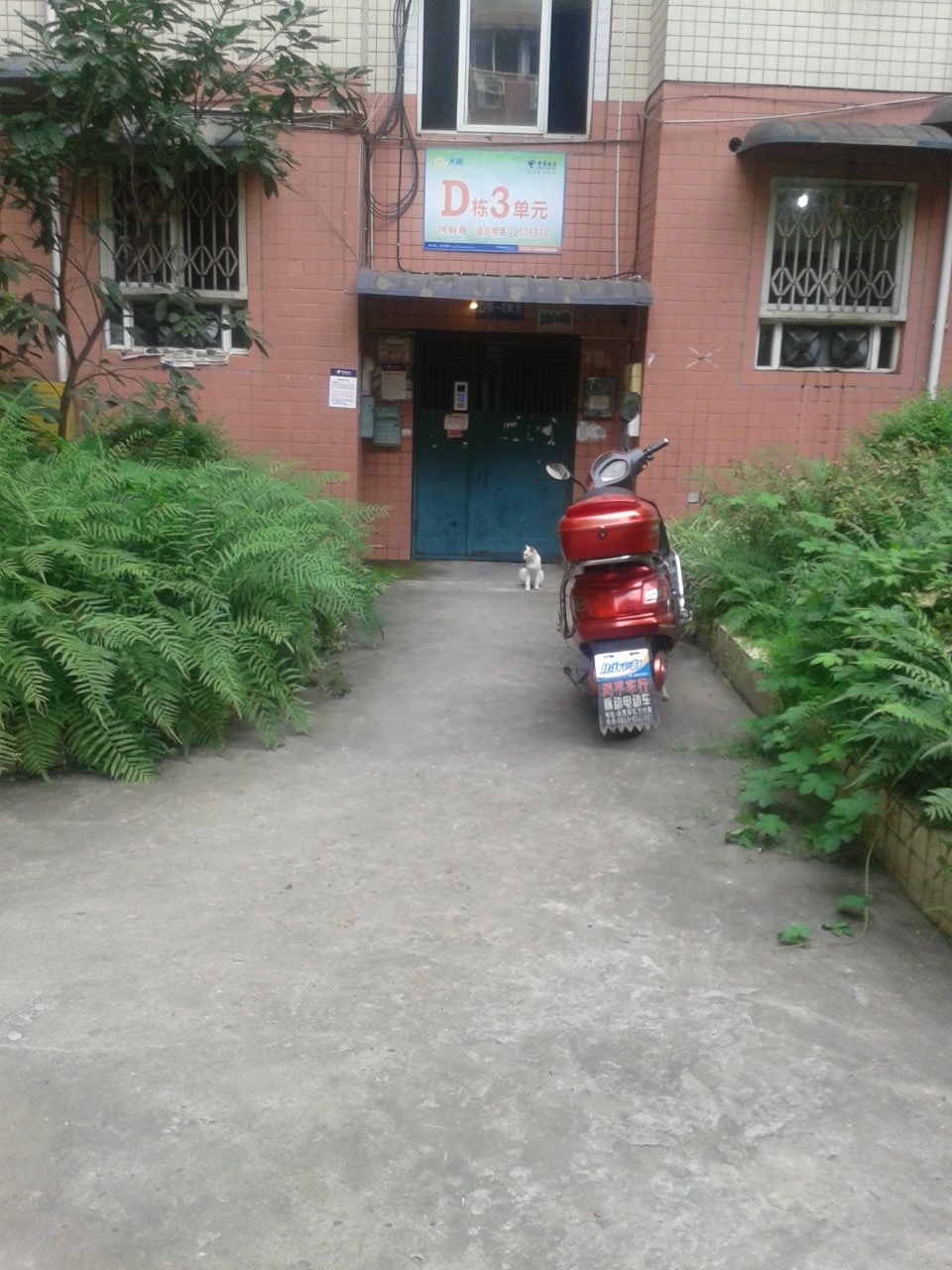 C360_2013-07-16-17-37-03_org.jpg