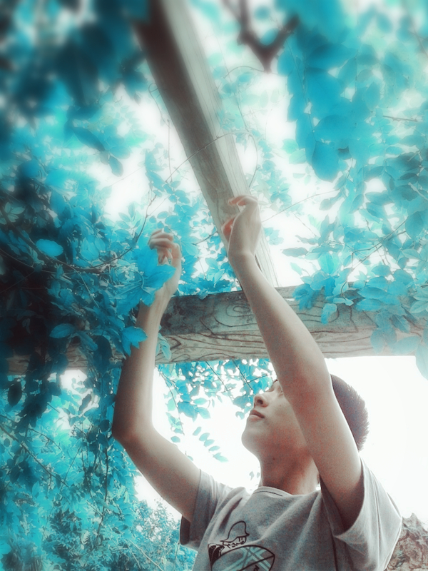 C360_2013-07-23-12-35-45_org_副本.jpg
