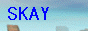 skay数码研究基地.png