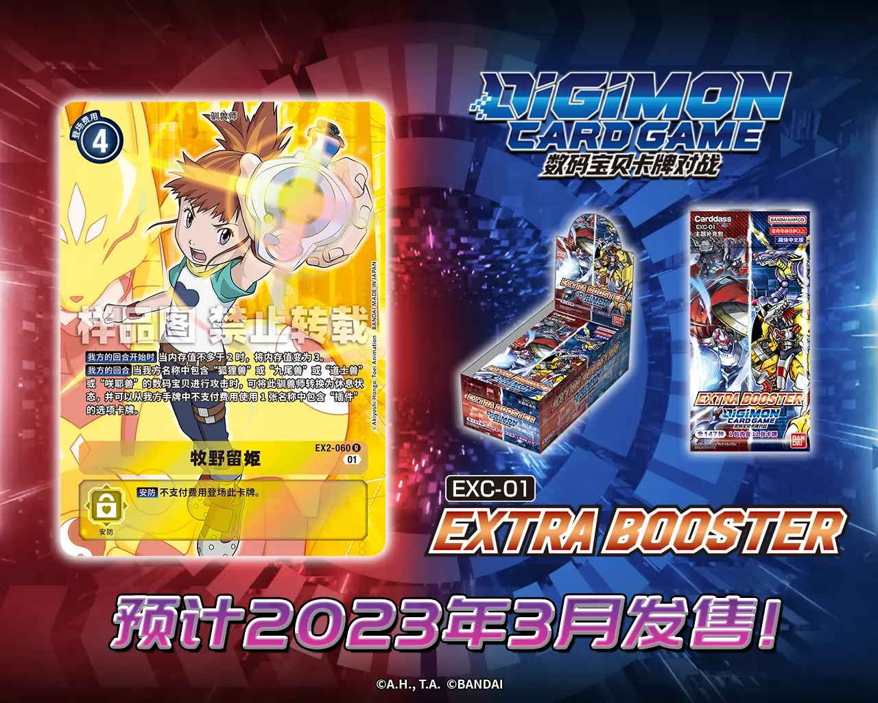 EX2-060.webp (1).jpg