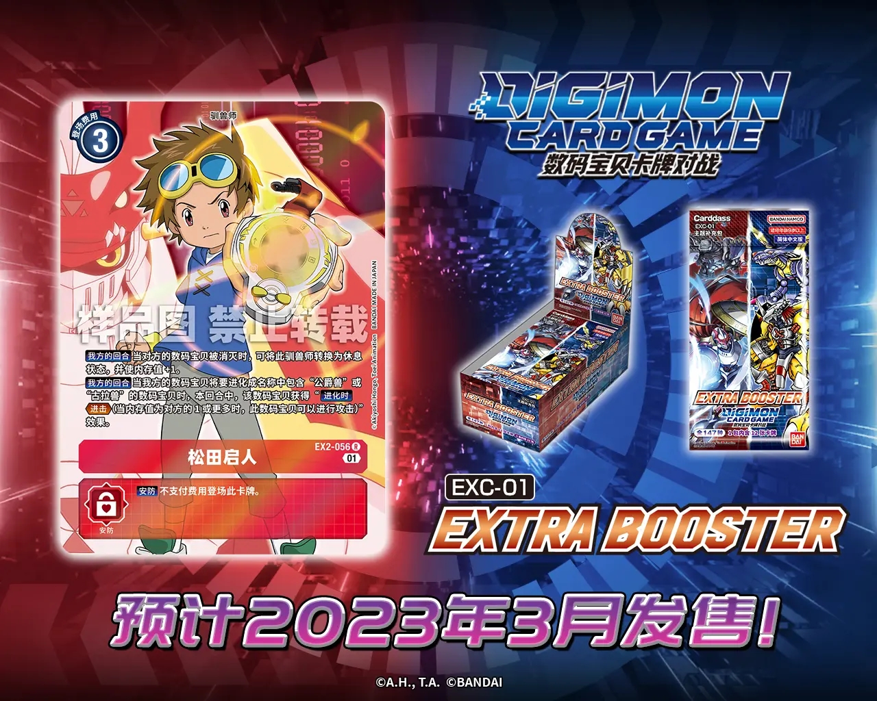 EX2-065.webp (2).jpg