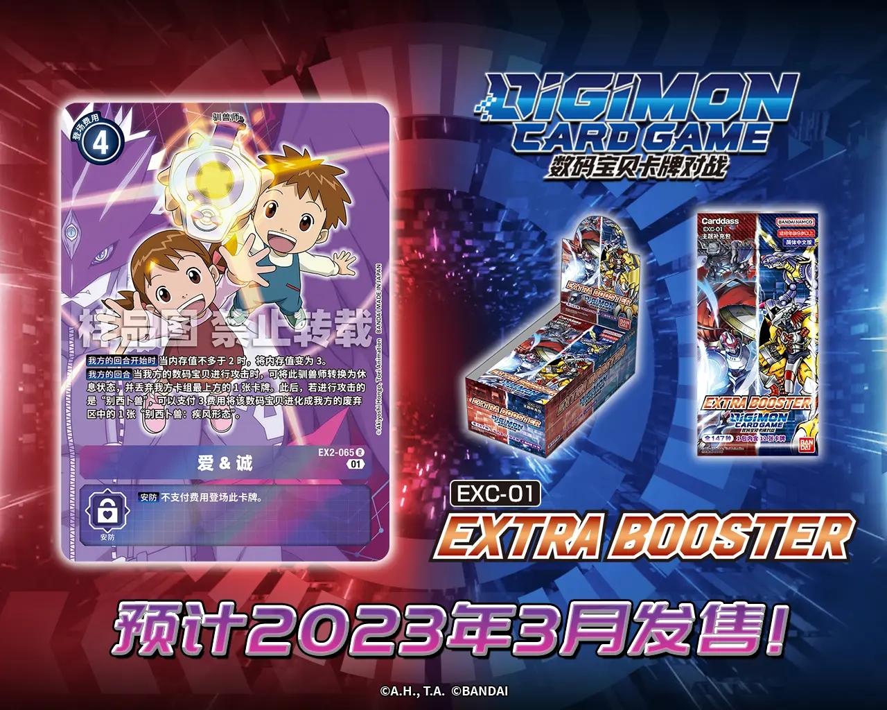 EX2-065.webp (1).jpg