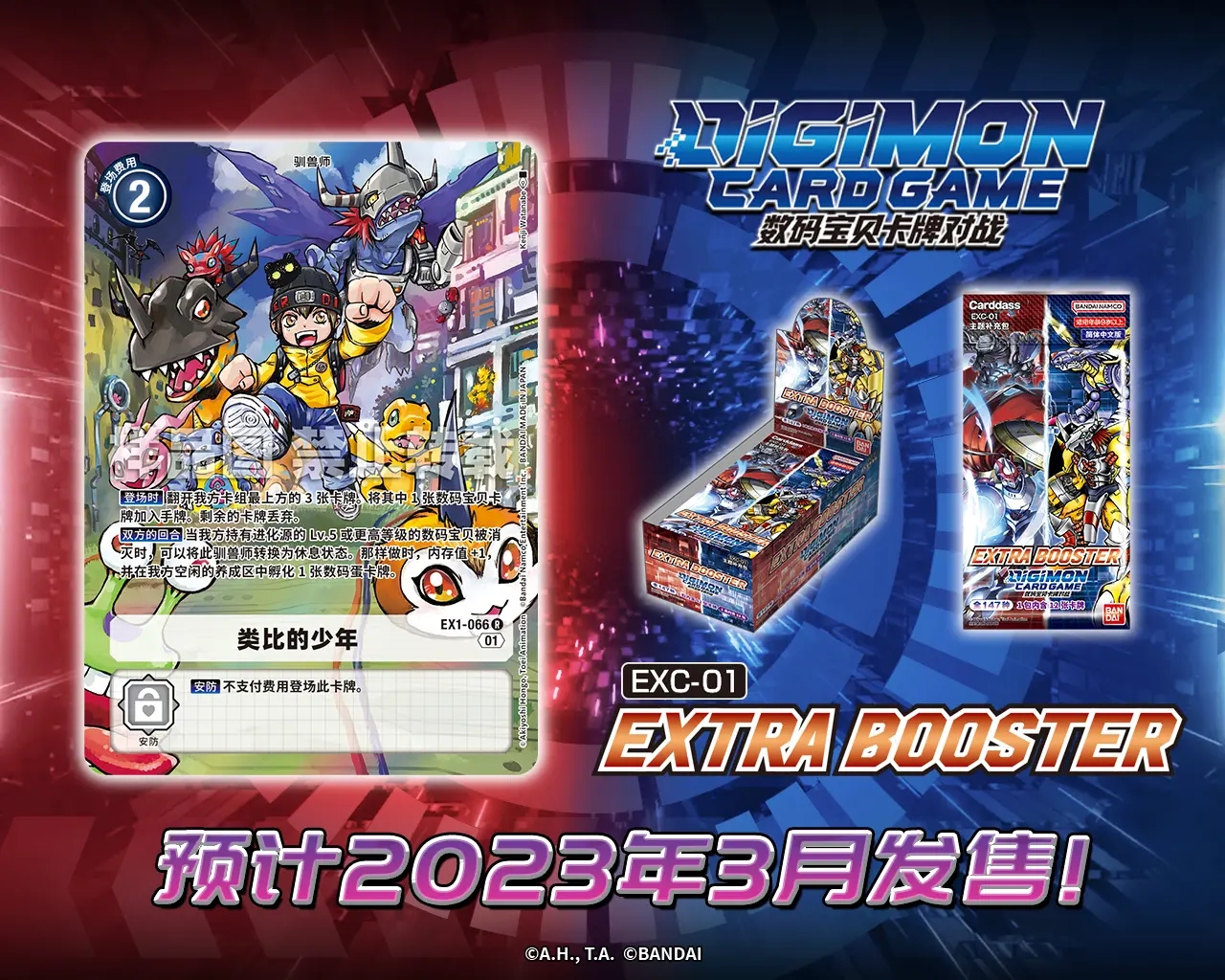 EX1-066.webp (1).jpg