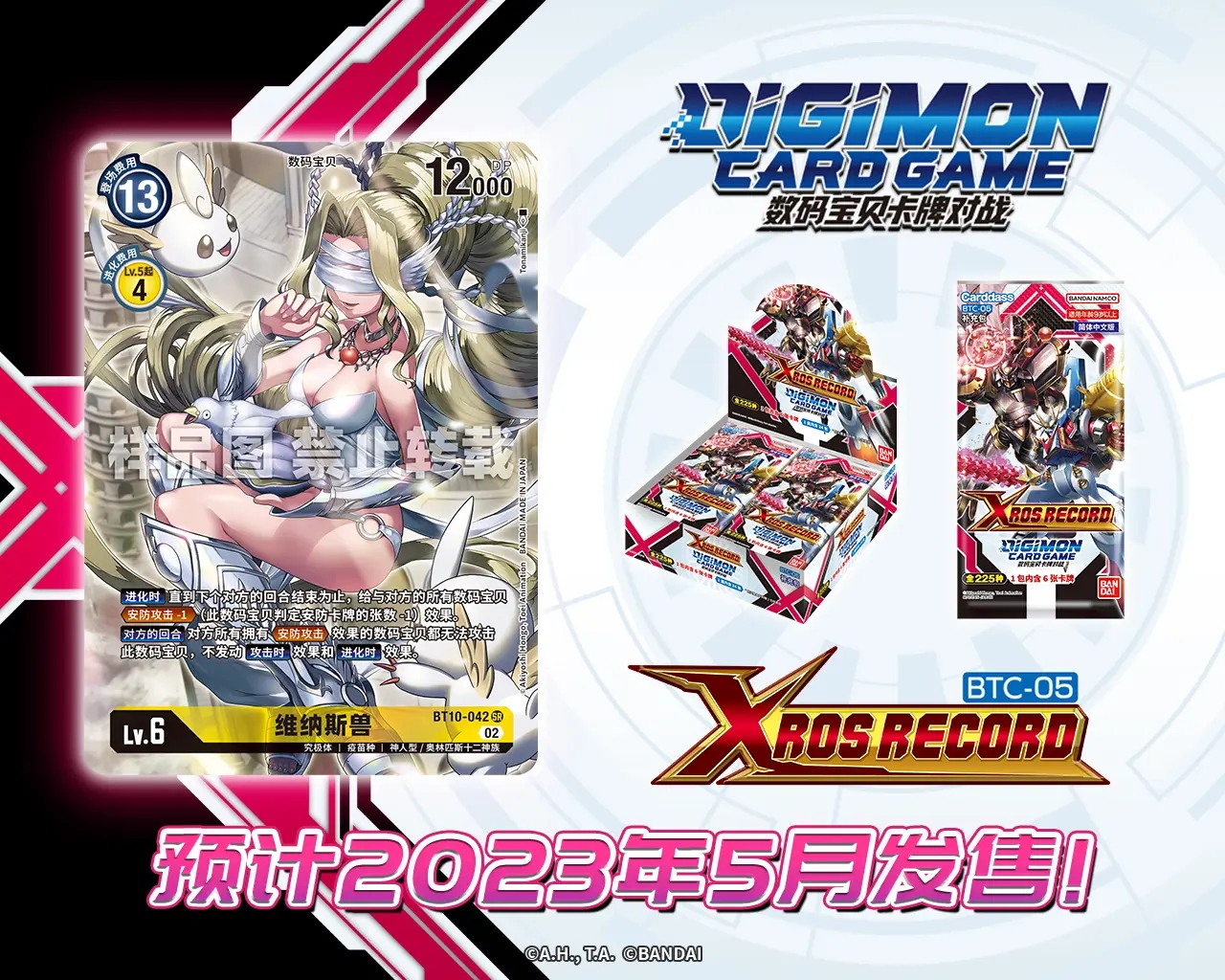 BT10-042.webp (1).jpg