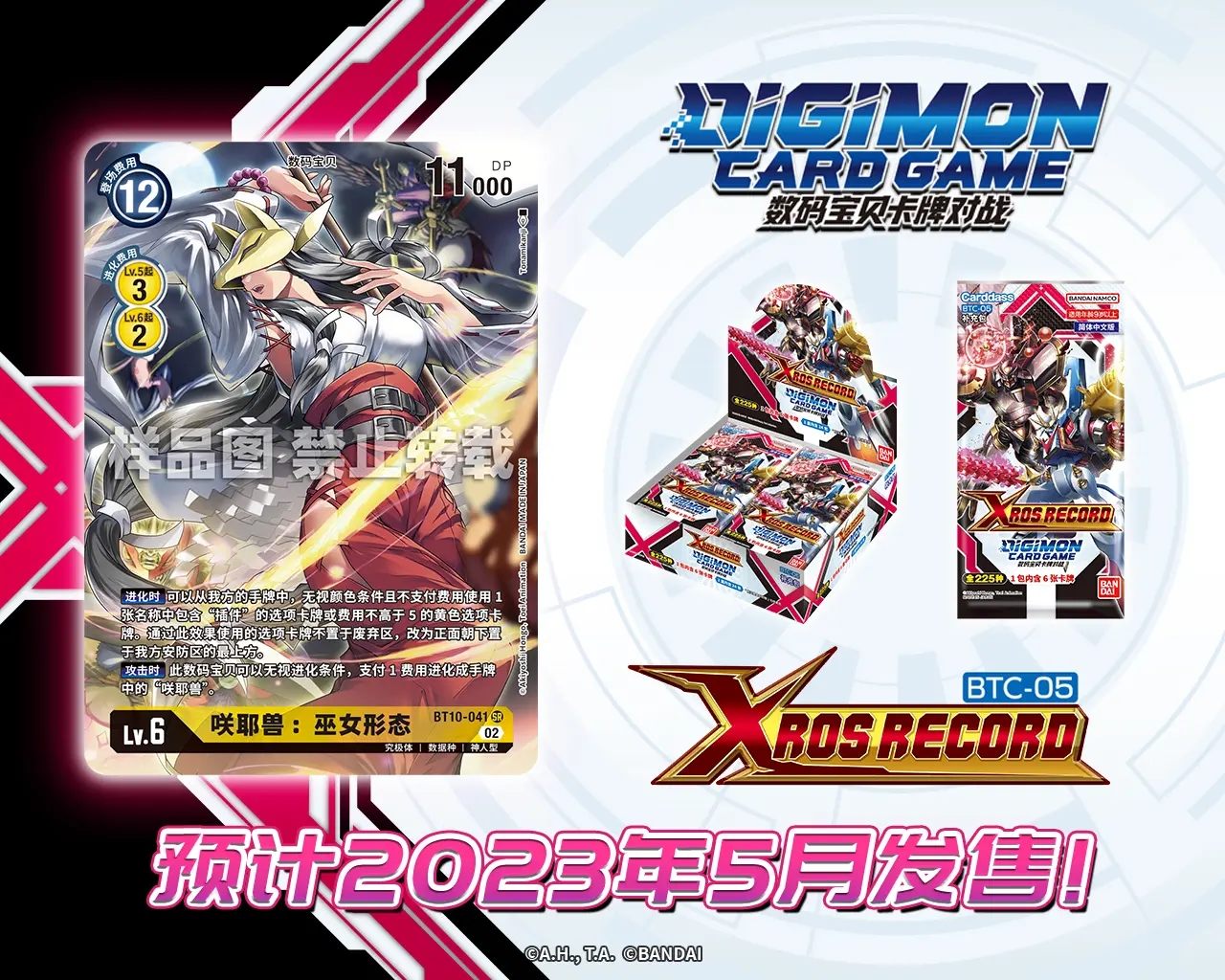 BT10-041.webp (1).jpg