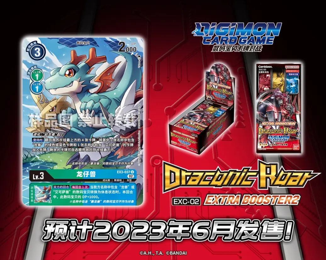 EX3-037.webp (1).jpg