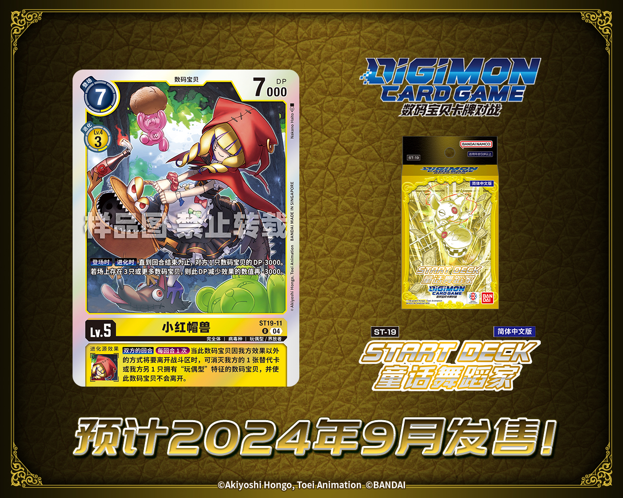 ST19-11.jpg