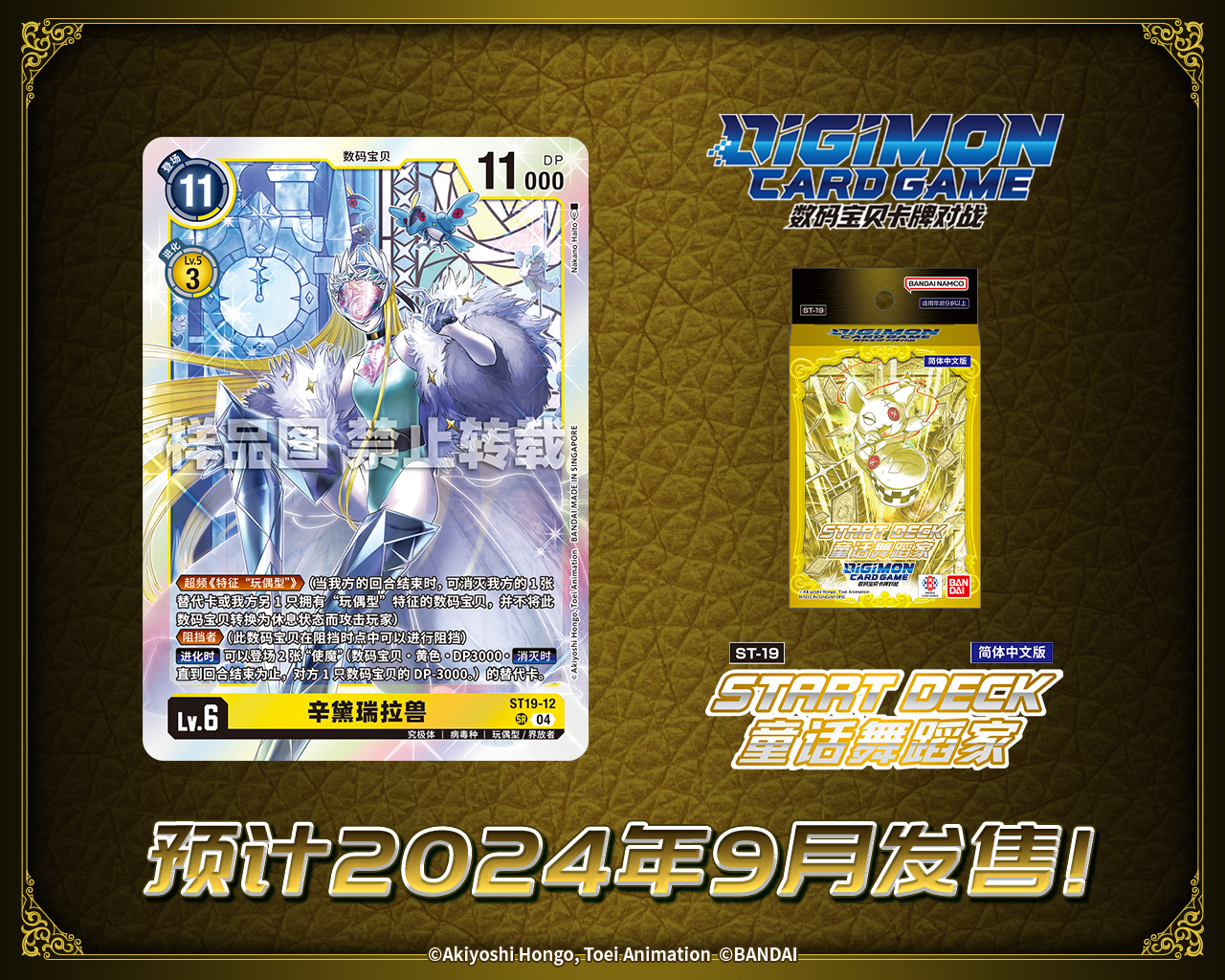 ST19-12.jpg