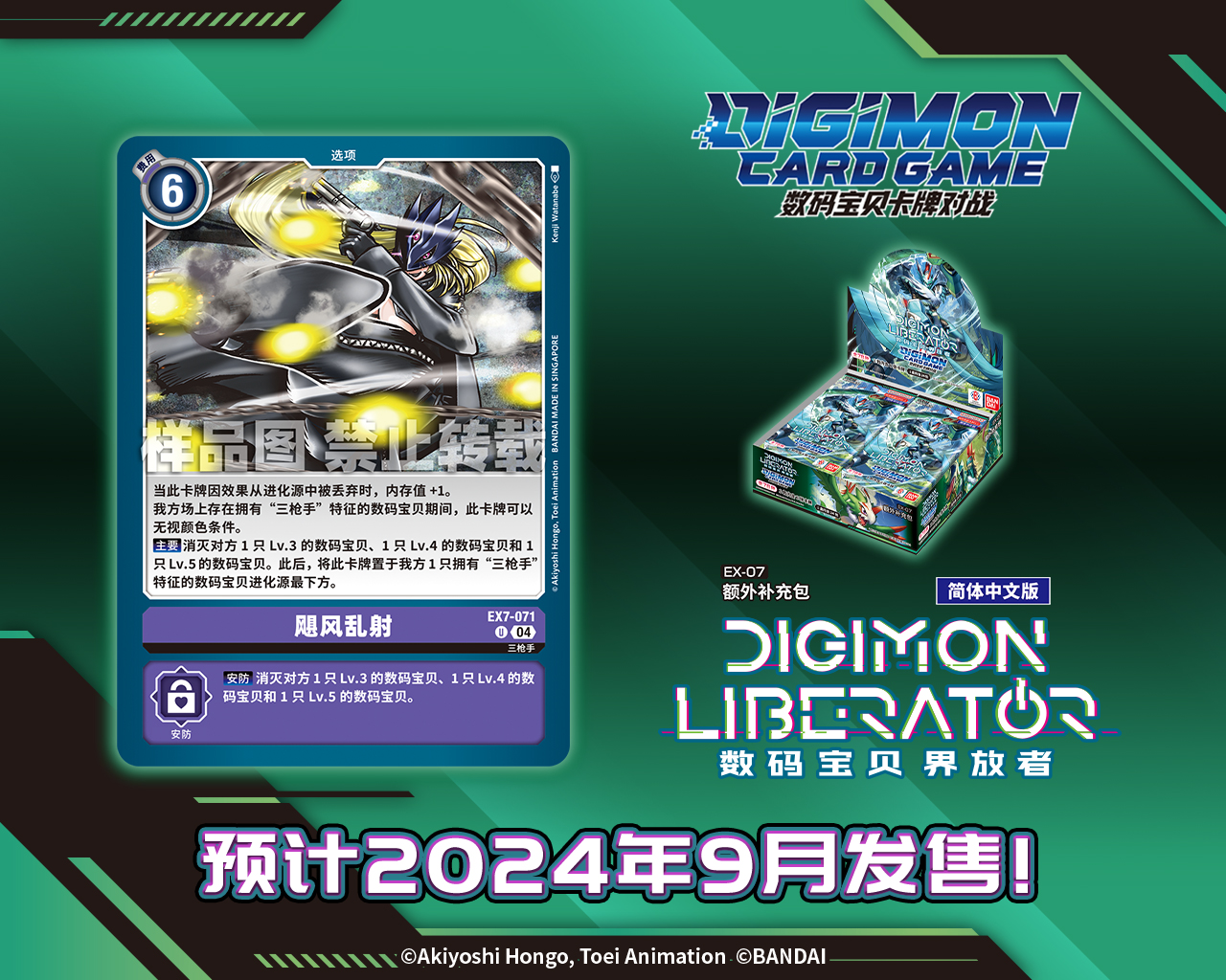 EX7-071.jpg