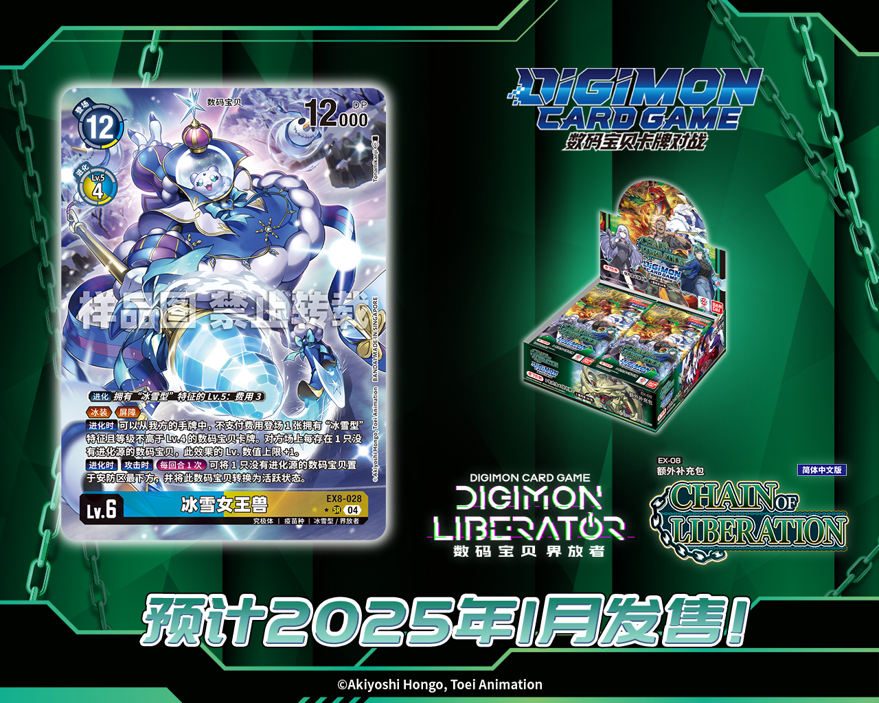 EX8-028A.jpg